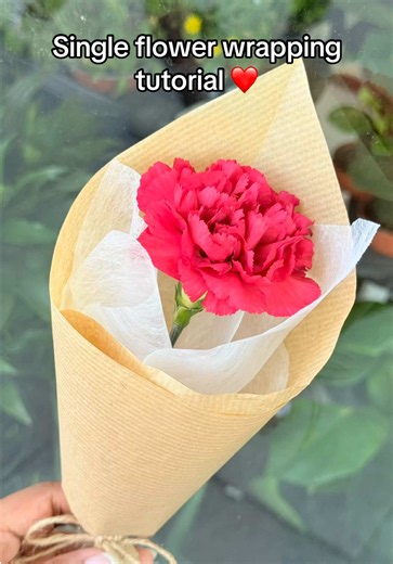 How to wrap single flower easy tutorial 🌹 Drop a picture of flower in comment🫶 Simple wrapping tutorial of single flower 🌺 #tutoriel #wrapping #paperflower #ribbonroses #fyp