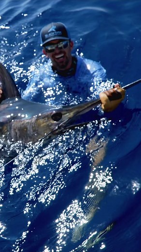 Starting with flying fish, I worked my way up the food chain and caught a Blue Marlin #longervideos #marlin #fishing #foodchain