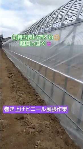 育苗ハウス 巻き上げ展張作業風景