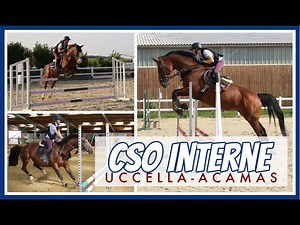 [CONCOURS] CSO d'entrainement aux écuries