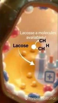 "Gene Expression in prokaryotic Explained | Biology Made Simple" #molecularbiology