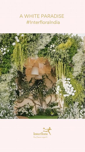 Interflora India | When it comes to flowers, our muse for this event is the remarkable delphinium. Its delicate petals and ethereal beauty make it the star of... | Instagram