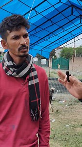 9797076648,,, contact for adress proper location Eid- ul- adha qurbani festival,,, . . # kaju #walla # zakura # crosing # festival # rajistan # sheep #trending #quality #top # meat #waight # | Cat Footwear Khayam