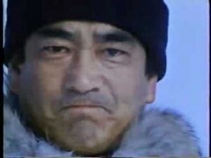 antarctica movie 1983