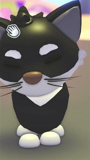 What Is TUXEDO CAT Worth In Adopt Me! #adoptme #adoptmepets #adoptmetrades #adoptmeroblox #roblox