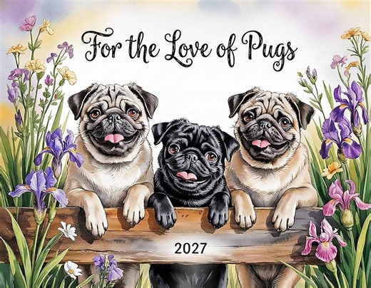Pug Dog 2027 Wall Calendar - Etsy UK