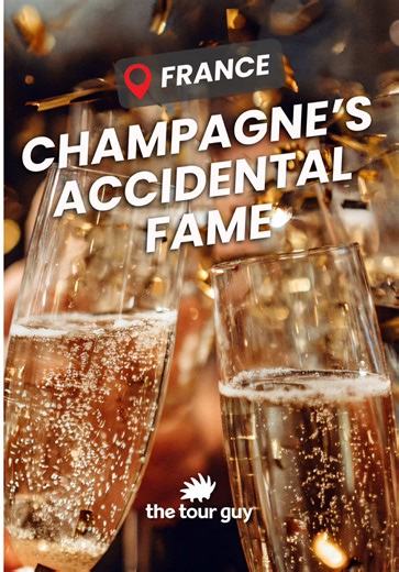 For centuries, champagne was a cellar disaster. Bottles exploding. Corks flying. Winemakers calling it the Devil’s Wine. Cold winters stopped fermentation. Spring restarted it inside the bottle. What looked like a failure slowly became an obsession. A monk helped refine it. Stronger glass made it survivable. Better corks made it controllable. Then French royalty got involved. Then marketing did the rest. By the 1800s, champagne stopped being a mistake and started becoming a moment. Not just a dr