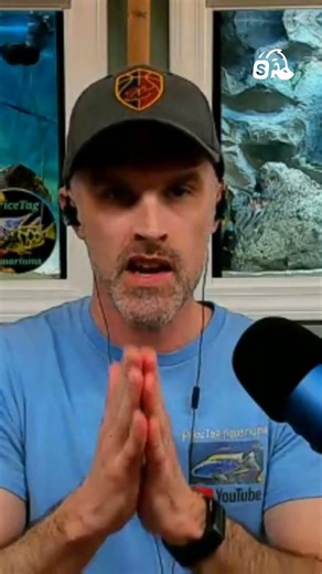 Vertical vs. horizontal streams — comments split, why I keep both