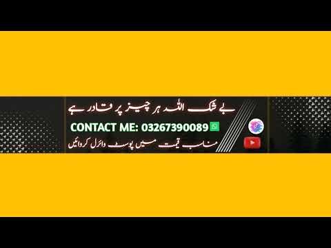 incredibox sprunki sinner edition but with love sus mod! mroona and wyrum new version love