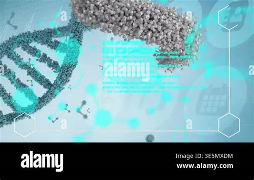 Animation of dna strand, human bust and medical data processing. Global medicine, science, research, computing and data processing concept digitally generated video Stock Video Footage - Alamy