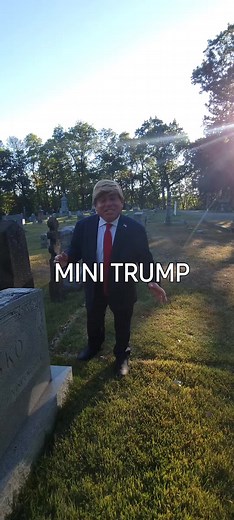 Too Big To Rigg! #minitrump #trump #viral #America #election