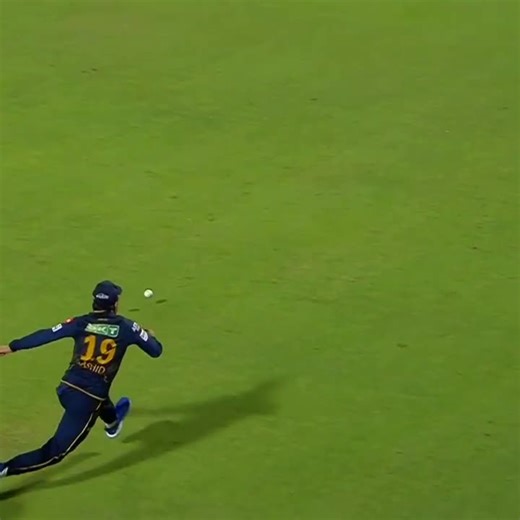 Top Best Fielding Moments in Cricket