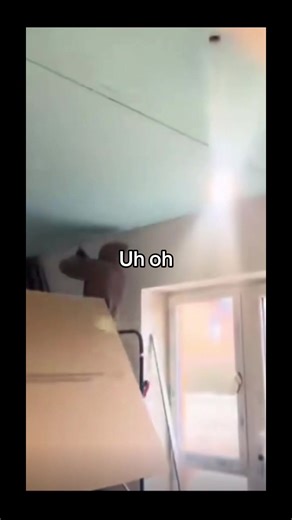 Jokes on you (@jokes_on_u01)’s videos with original sound - Jokes on you