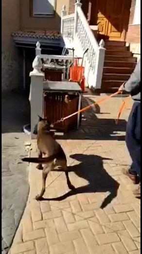 Daniel Torr on Reels