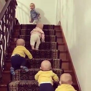 1.1M views · 8.4K reactions | Stair climber workout By: @fourtifiedfam | MetDaan Creative | Facebook