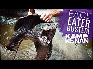 My Pond's Turtle Monster has been DISCOVERED!