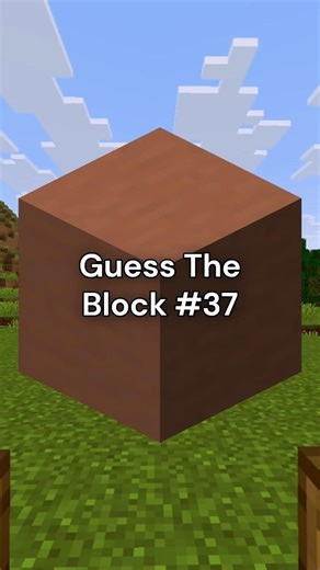 Guess The Minecraft Block #37