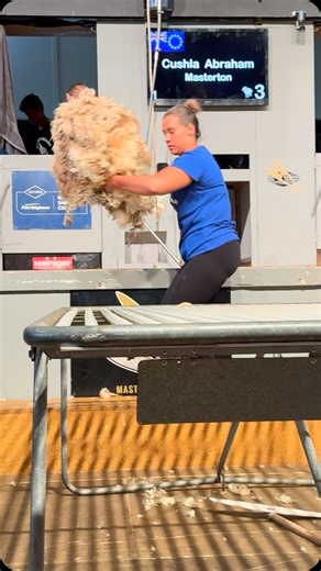 160 reactions · 17 shares | Golden Shears on Reels | Facebook