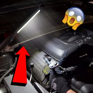⭐"I've been using the light bar for the past 4 months and I couldn't ever imagine switching back to a regular flashlight." 🔦We decided to do something about big and bulky flashlights by creating the Universal LED Light Bar, check out its versatility and more here: https://universalwoahshop.com/products/universal™-led-light-bar | Universal Woah