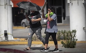 ¿Cuántas lenguas se hablan en México y cuál de estas es la oficial?