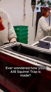 Designed and made in New Zealand, built for the world. From controlling mongooses in Hawaii to protecting red squirrels in the UK, the #A18 #SquirrelTrap helps restore balance in ecosystems far beyond our borders. Self-resetting, non-toxic and humane. Watch to see how it all comes to life! #AutomaticTrap | Automatic Trap