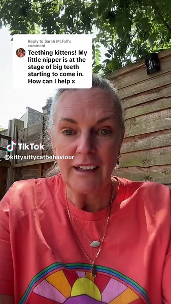 Teething Kittens: Best Tips for Healthy Play