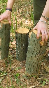 778K views · 2.4K reactions | Easy DIY BBQ Pit in the Forest #camping #outdoor #survival | 5-Minute Crafts SHORTS | Facebook