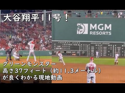 【大谷翔平11号】右手1本でグリーンモンスター越え！エンゼルスvsレッドソックス（フェンウェイ・パーク）5月15日に2番・DH
