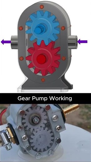 How ggear Pump Works! #machine #technology #mechanic