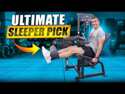 Maxum Fitness LEC2 Review: The Cheapest Selectorized Leg Extension/Leg Curl Machine?