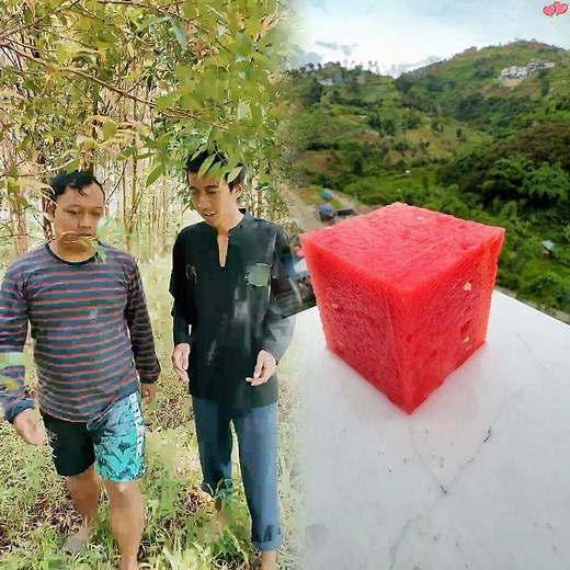 Lost in the Forest, Found a Genie Teapot Exciting Mystery Drama