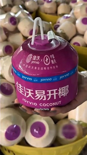 Coconut water paking export process - Thai fruit