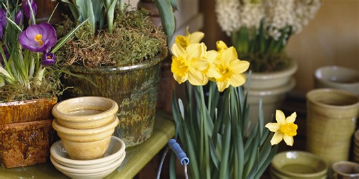 These 7 Potting Benches Earn Two (Green) Thumbs Up from Our Editors