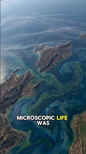 Early Life and the Great Oxidation Event