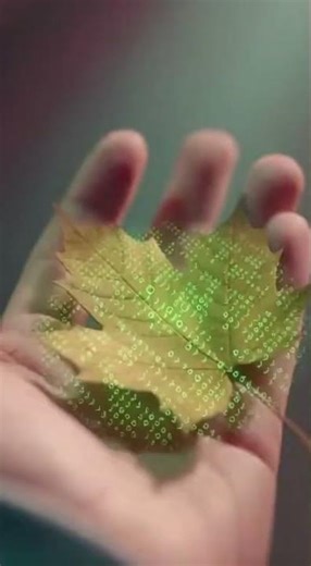 Debugging Reality: The Shop Where Code Dies