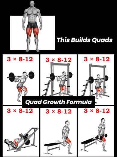 Top 9 Exercises for Stronger Quad Development