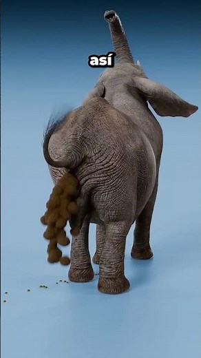 CAT POOP VS GODZILLA POOP😨