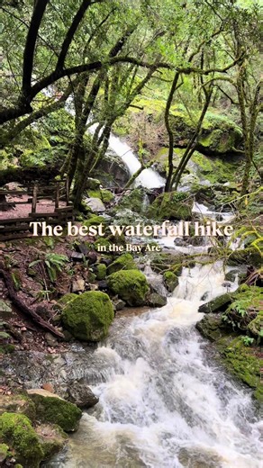 Top Waterfall Hikes After Rainstorms in the Bay Area
