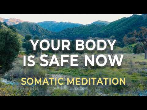Update the Alarm System | Somatic Meditation to Teach Your Nervous System It’s Safe
