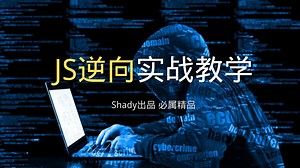 【用协议爬虫过掉所有验证码】 9.某验4无感探针：实现pow_msg和pow_sign