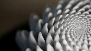 Science Friday: Creating the Never-Ending Bloom