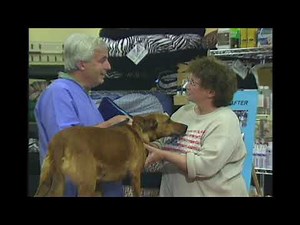 Candid Camera Classic: Cosmetic Vet