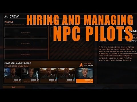 Elite: Dangerous. Hiring and Managing NPC Pilots