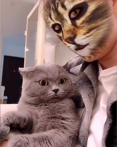 Cats are so funny to watch 😂🐱 | Tyla