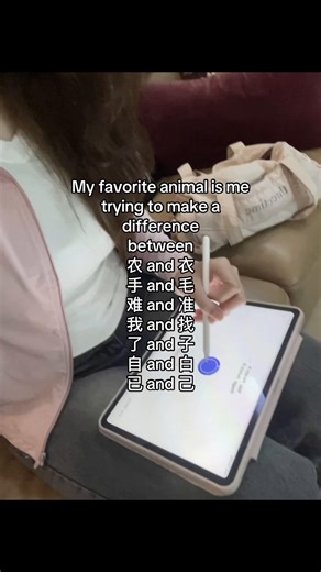 Mastering Chinese Characters: Key Differences Explained