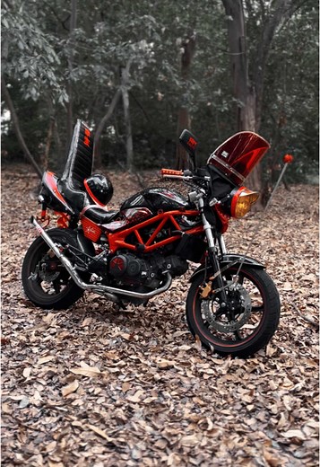 ケツ乗り募集中の姫ライダーとVTR250