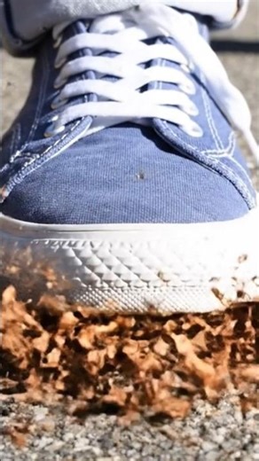 Dry Leaf Crunch ASMR 🍂 Relaxing Nature Sound