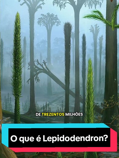 Descubra o que é um Lepidodendron