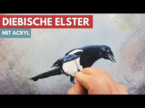 Elster malen mit Acrylfarbe - Schrittweise erklärt