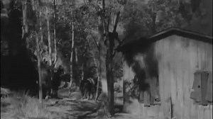 O Terror do Arizona - (Code of the Silver Sage) Rocky Lane 1950 Legendado